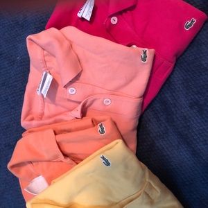 Polo shits